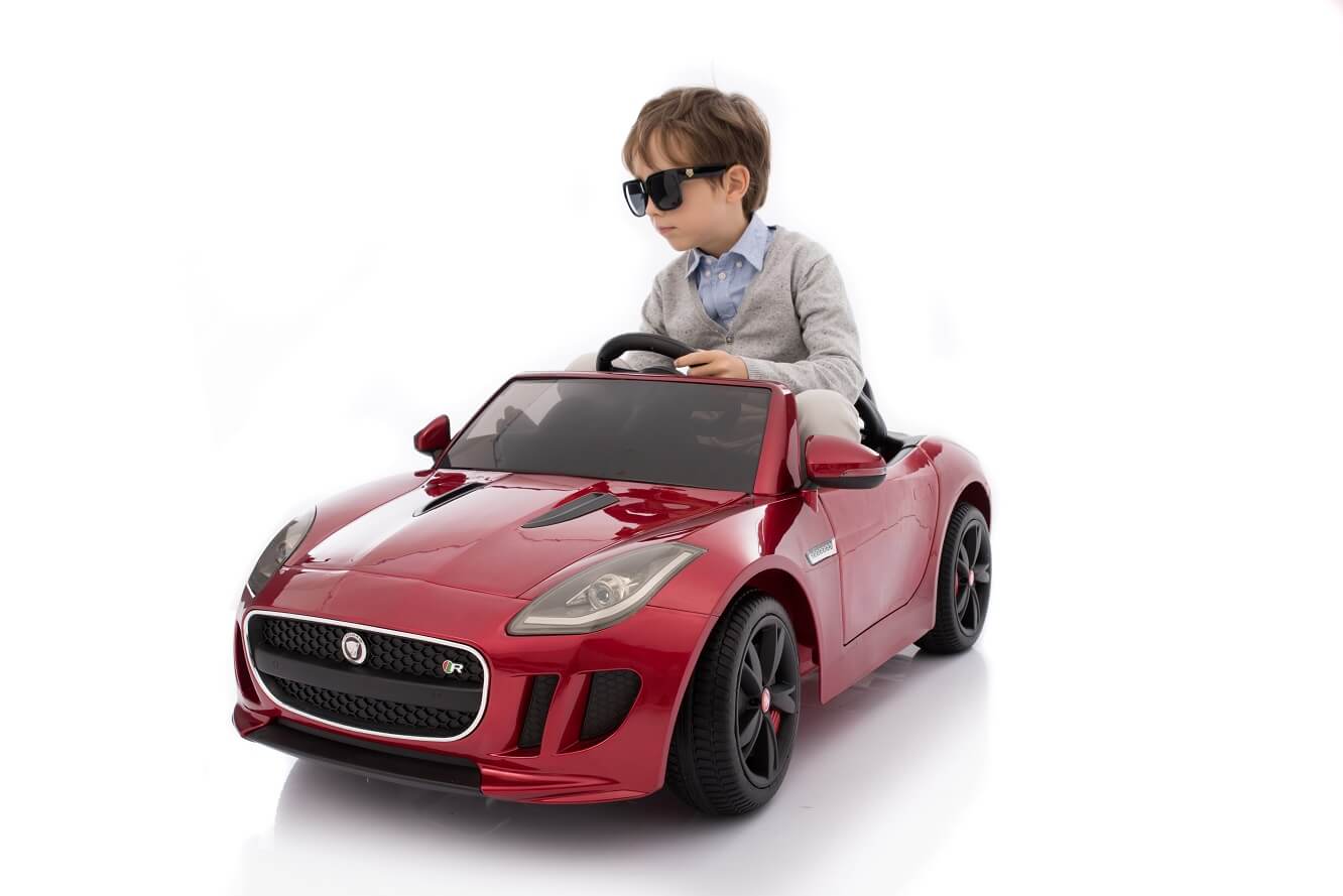 DMD218 (12) DMD218 (12)