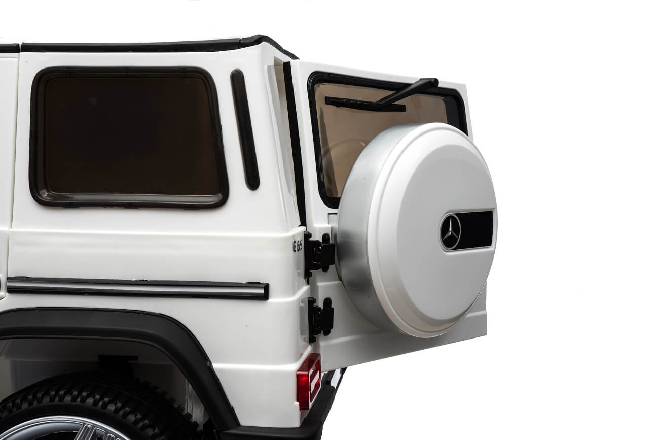 G65 (10) G65 (10)