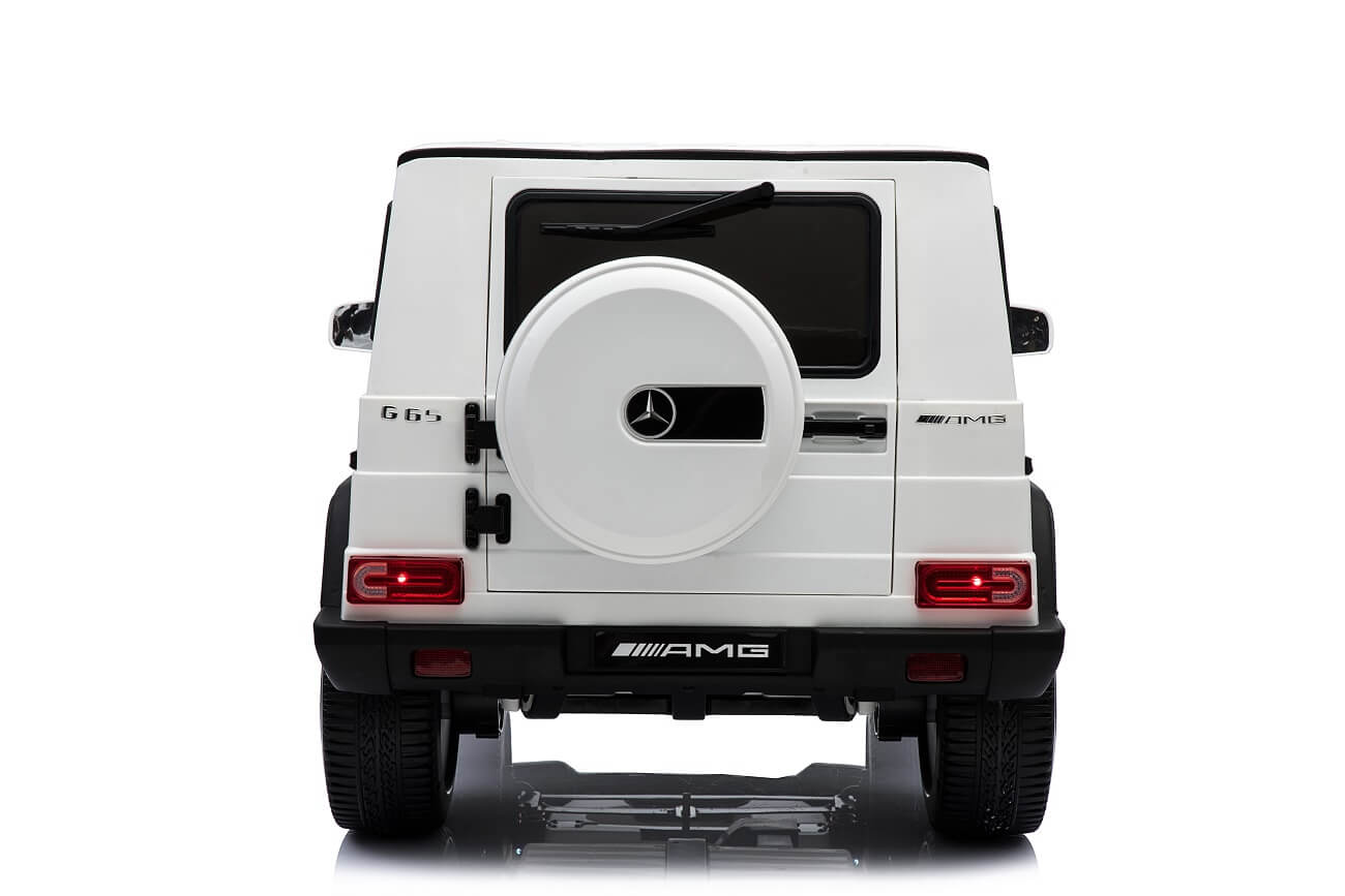 G65 (3) G65 (3)